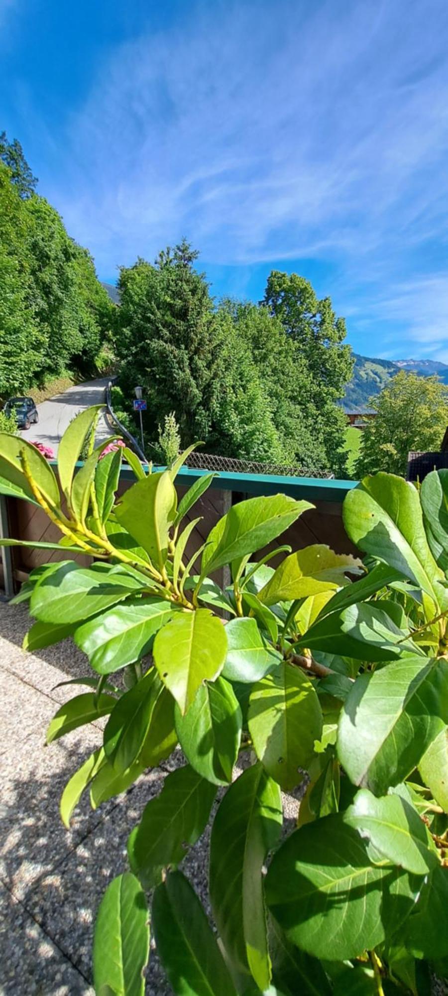 Ferienwohnung Steinberger Hippach Exterior foto